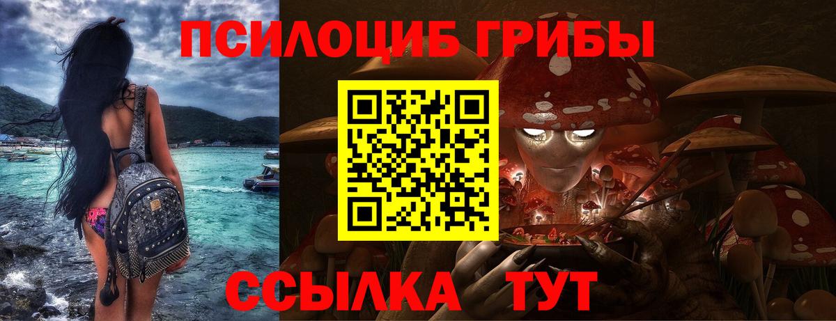 Галлюциногенные грибы прущие грибы  Галлюциногенные грибы Magic Shrooms  Артём 