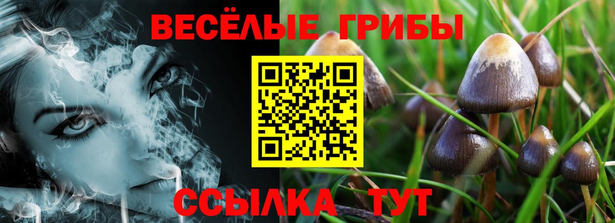 Псилоцибиновые грибы Psilocybe Артём
